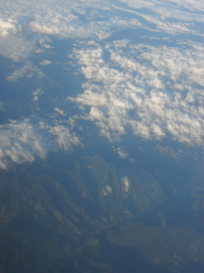 Selva